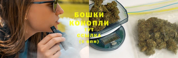 гашик Аркадак