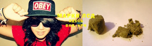гашик Аркадак