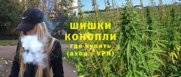 PSILOCYBIN Лиски